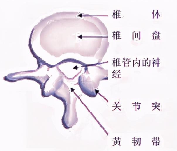 椎管内长了肿瘤是不是一定要手术呢可以保守治疗吗