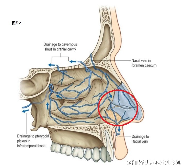 举胳膊能止鼻血吗?