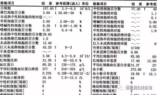 患者如何知道患上慢粒白血病,血常規有哪些明顯變化?