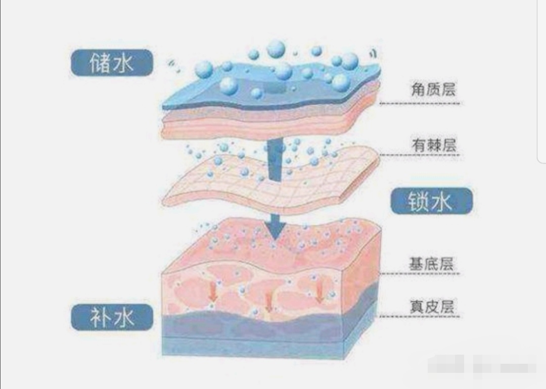 皮肤管理 | 保湿四秘诀,干皮无所畏