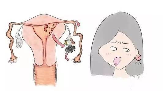 当我的子宫被拿掉以后.