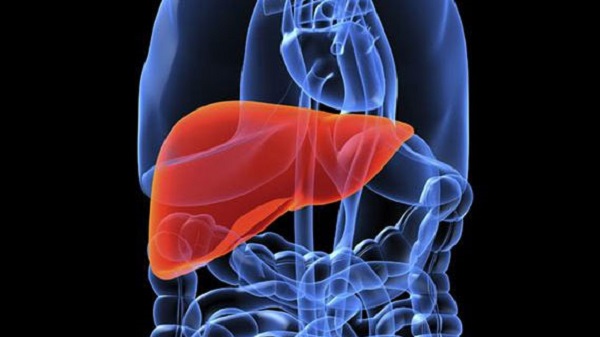 囊肿和肿瘤有什么区别,患上肝囊肿,肾囊肿会影响生命吗?