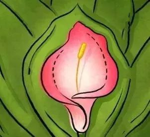 女人私处黑就是滥交这里说出真相了