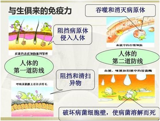 美白,抗氧化,提高免疫力…,你真的瞭解維生素c嗎?