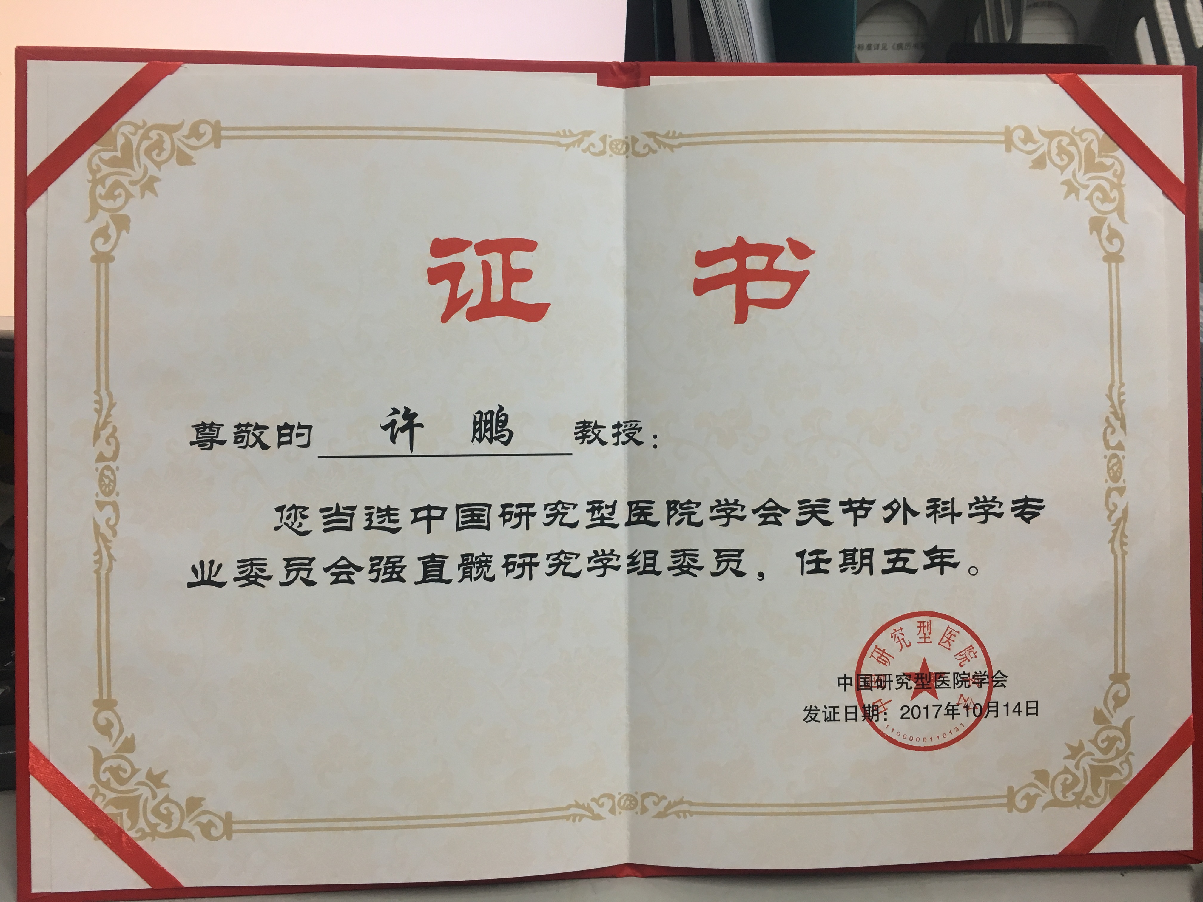 学会关节外科学专业委员会强直髋研究学组委-许鹏主任医师-爱问医生