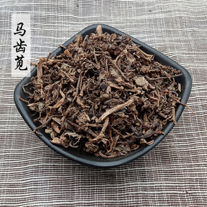 马齿笕,还有哪些鲜为人知的功效?