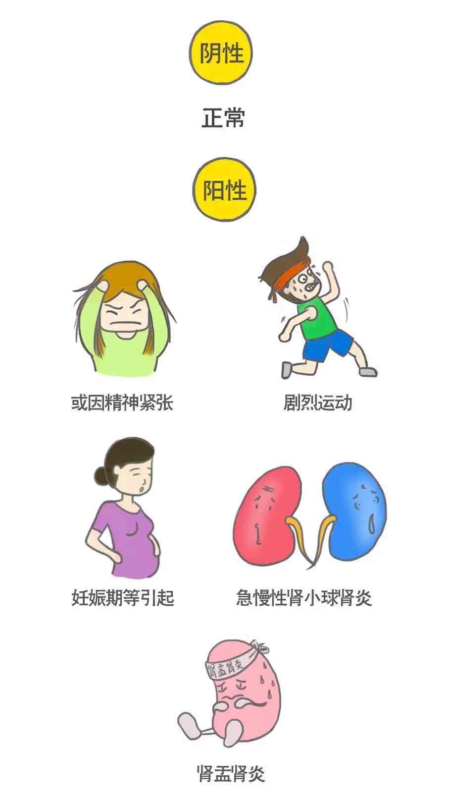 【體檢漫畫】看懂體檢報告中那些指標的含義