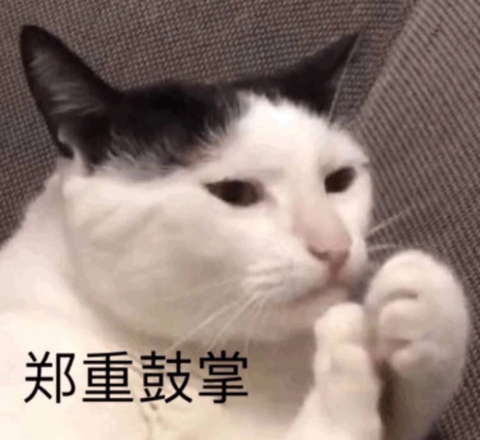 李逗曛魅我绞-爱问医生