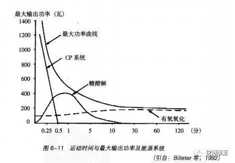 運動不止是力量靈敏性訓練讓你快速提升場上反應