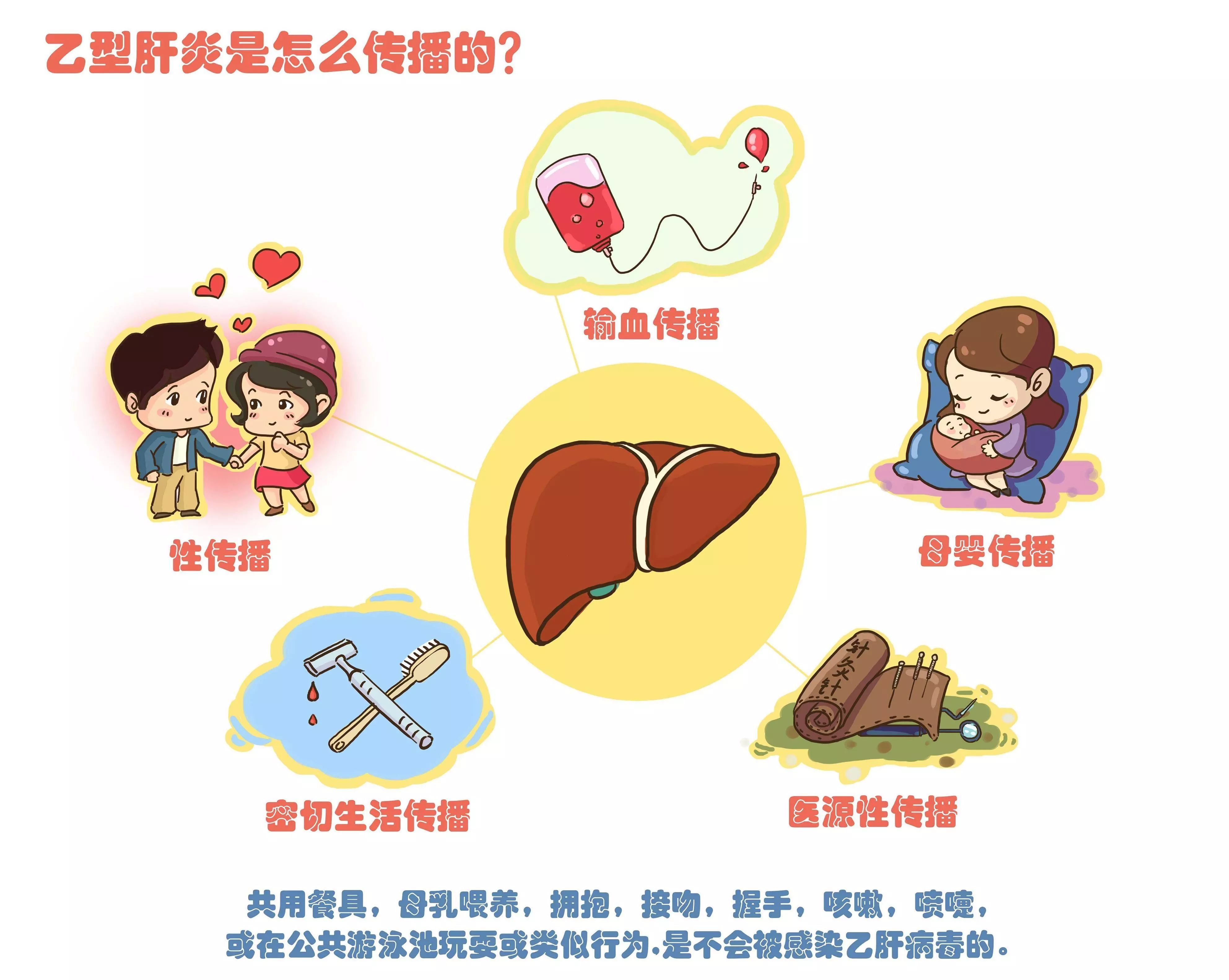 将是终身携带和感染,所以女性乙肝患者尤其要注意预防母婴传播