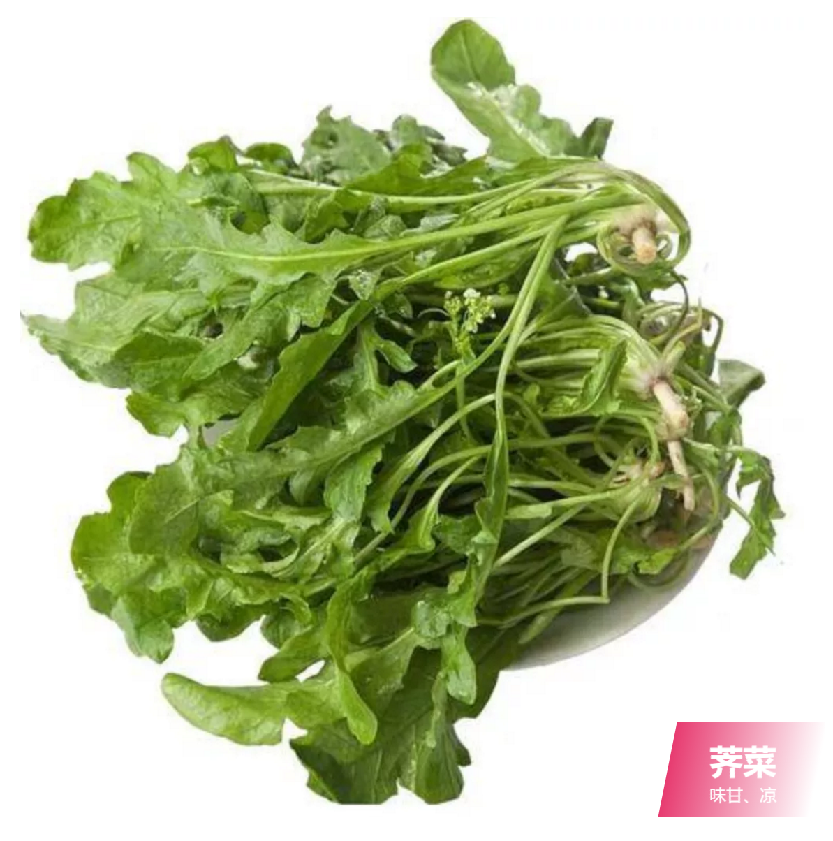 今年春天你吃野菜了吗?