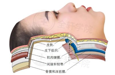 面部安全注射层次和间隙理论