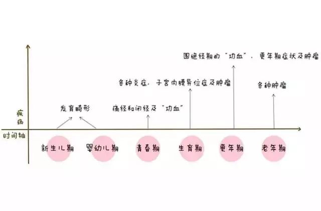女性的一生可以分为这样几个时期