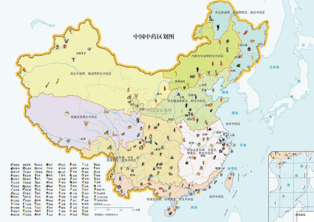 妙言药道丨漫谈道地药材