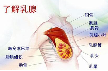 我国乳腺癌新发病例每年呈3速度递增