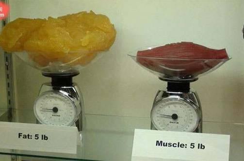 同样重量的脂肪体积大于肌肉