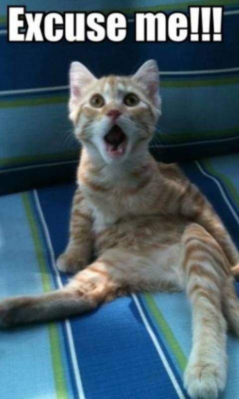 羡慕刘涛一口白牙?先看看她“美容冠”血泪史…