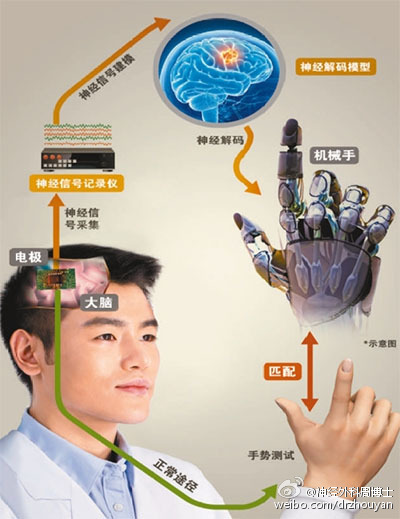 太神奇!探秘大脑怎样用意念控制物体!