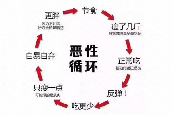体重下降不等于减脂肪节食会导致肌肉流失