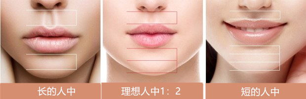 那么试着测量一下鼻子到嘴唇的距离,也就是人中长度吧!