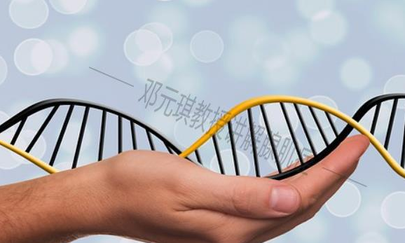 试管婴儿寿命不长是真的吗为什么在线