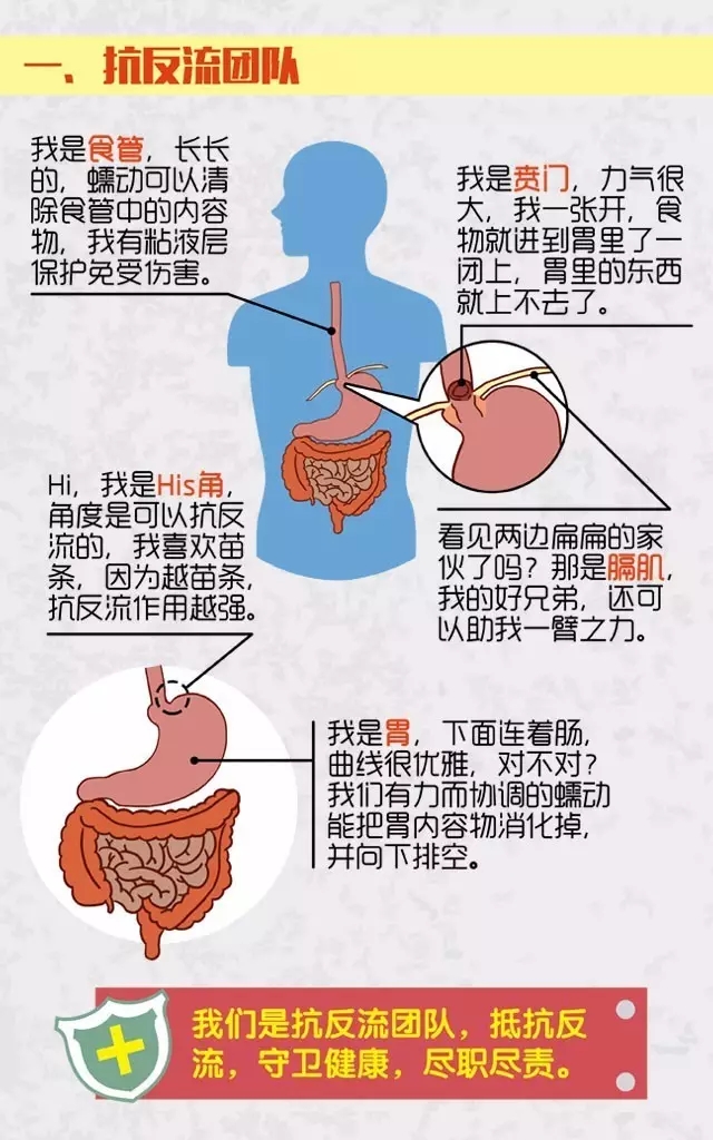 胃食管反流病的形成原因