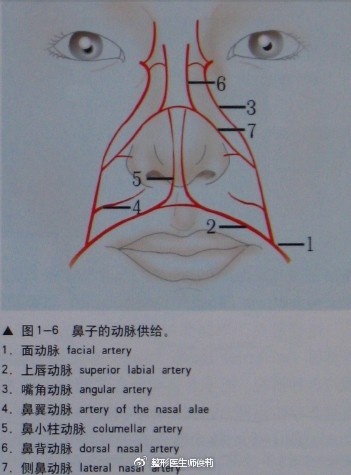 三次鼻修复手术,鼻小柱竟然坏死?