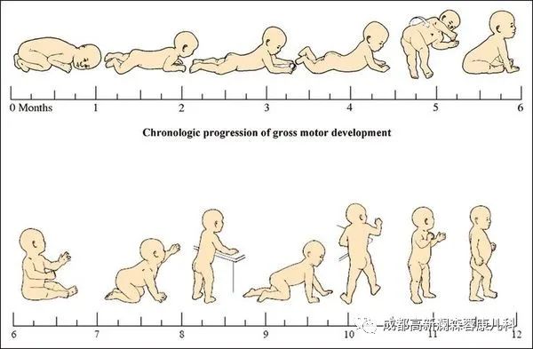 婴儿大运动发育参照图图片