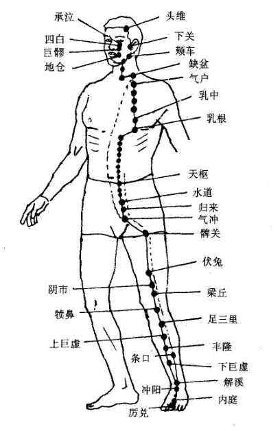 足阳明胃经证治-杨晓文主治医师-爱问医生