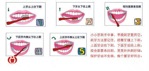 有关刷牙的八个困惑