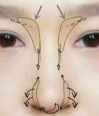 的审美,也是要顺应时代潮流不断升级变化的,除了追求鼻额角,鼻面角