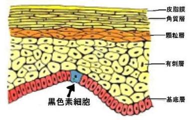 孕期护肤宝典,准妈妈们也能美美的