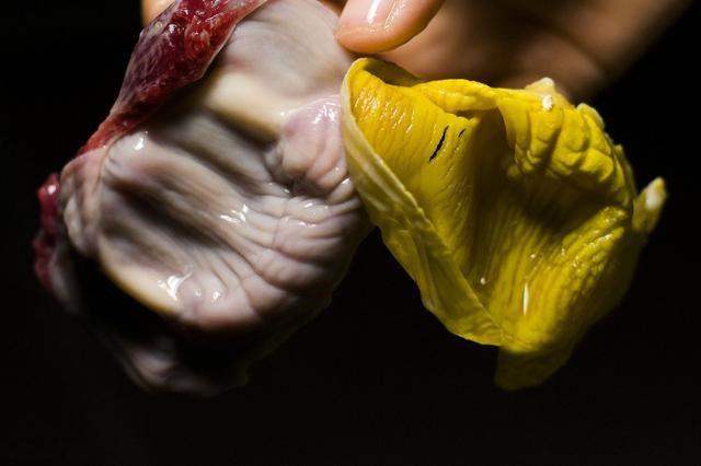 鸡胗外面有一层膜是一味好的中药鸡内金, 您知道吗?