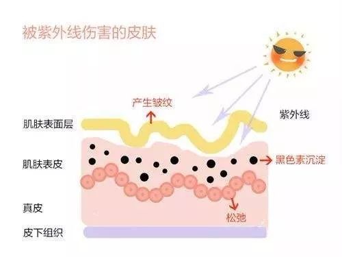 敏感肌的你,如何選擇防曬?