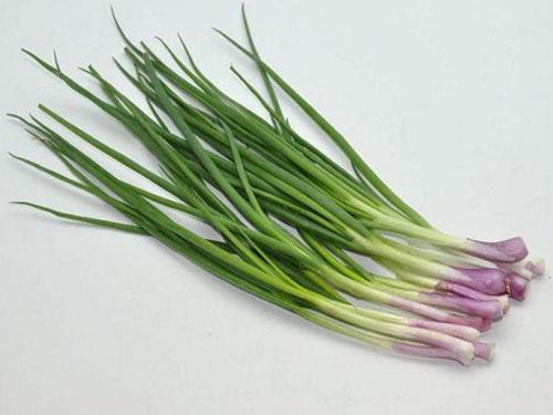 小小一根葱顶药十副但99的人都吃错了千万别这么吃了