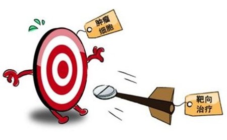 定点爆破--乳腺癌靶向治疗