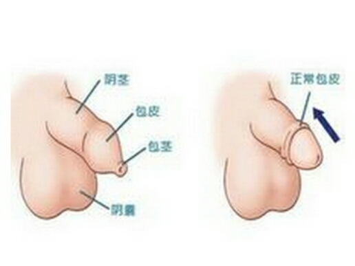 小孩小鸡 隐匿图片