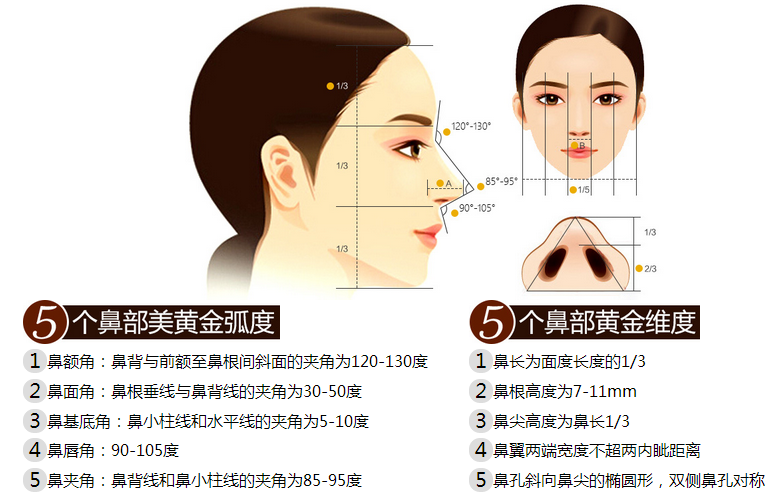 【十区汇点美鼻黄金标准】