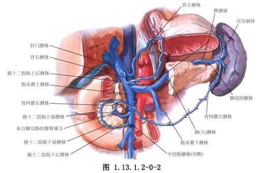 脾脏切除.jpg