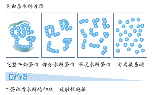 肽键水解图片