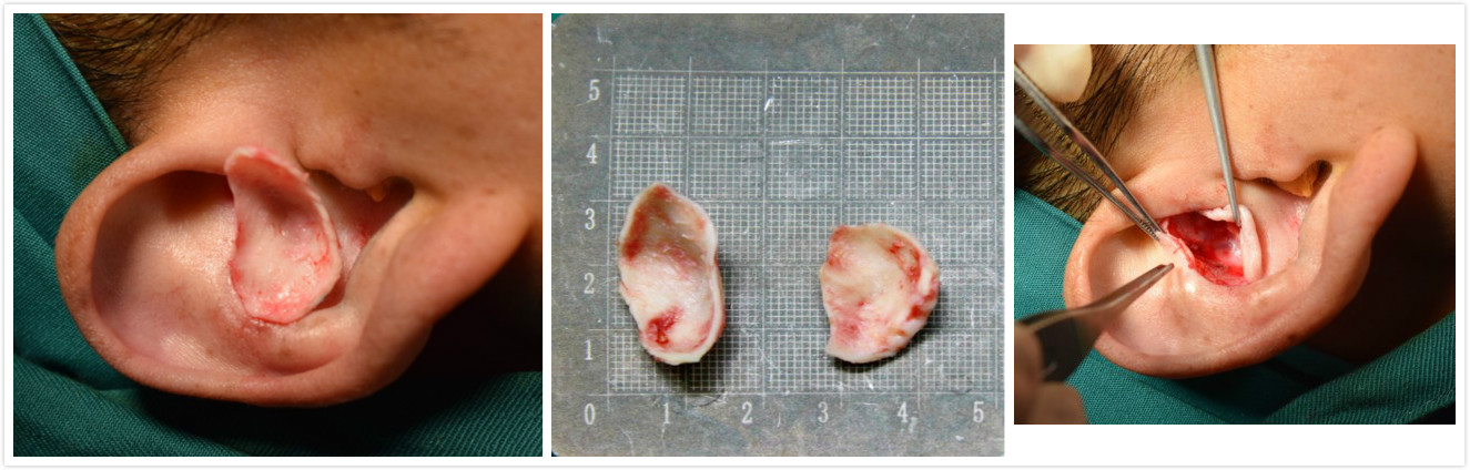 爱问健康_师俊莉_主治医师_爱问健康