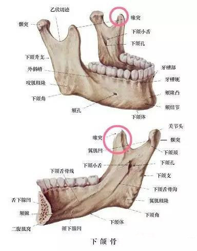 颧骨颧弓整形的那些事儿