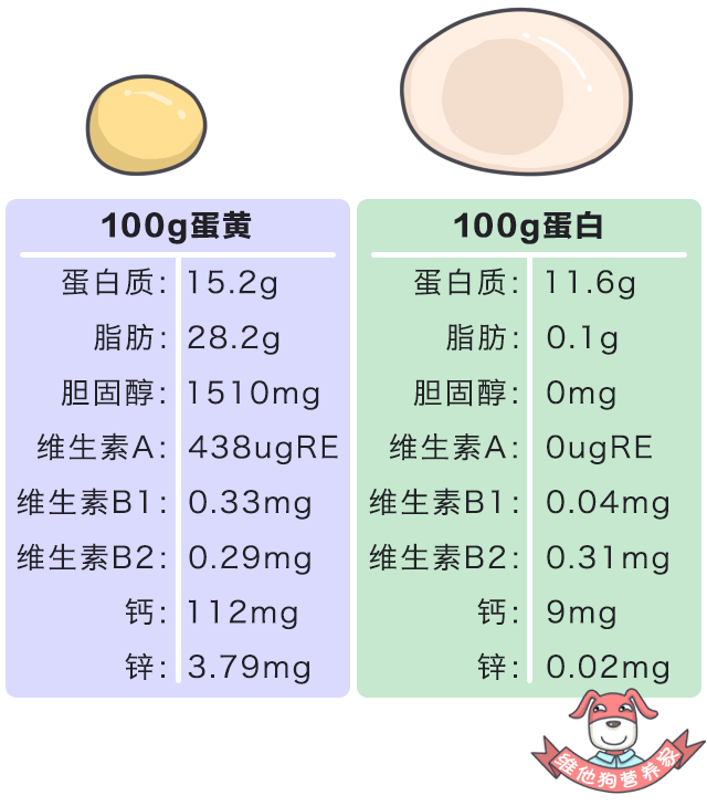 人为什么每天要吃鸡蛋?一天到底能吃几个?