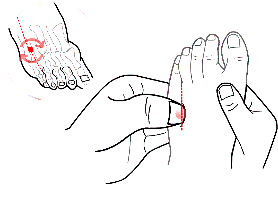 足临泣穴外关穴与阳维脉相通,足临泣穴与带脉相通.