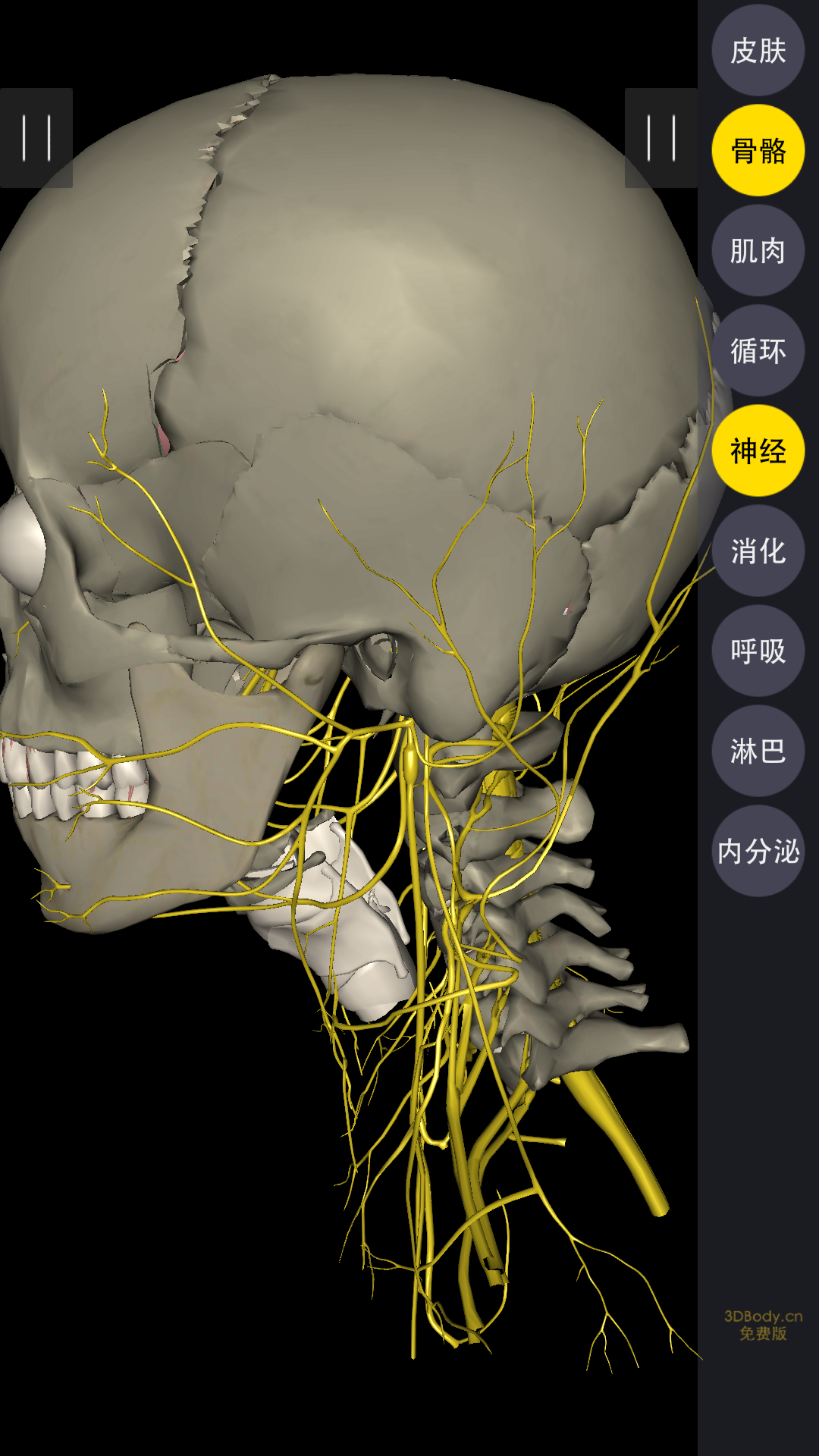 颈椎病常见症状