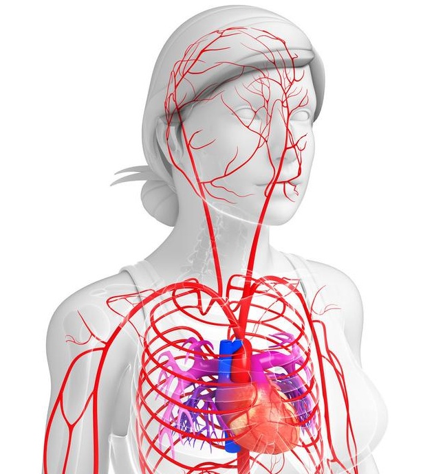 有人问:14岁孩子跑步时心脏憋胀刺痛,是什么情况(多次发生)