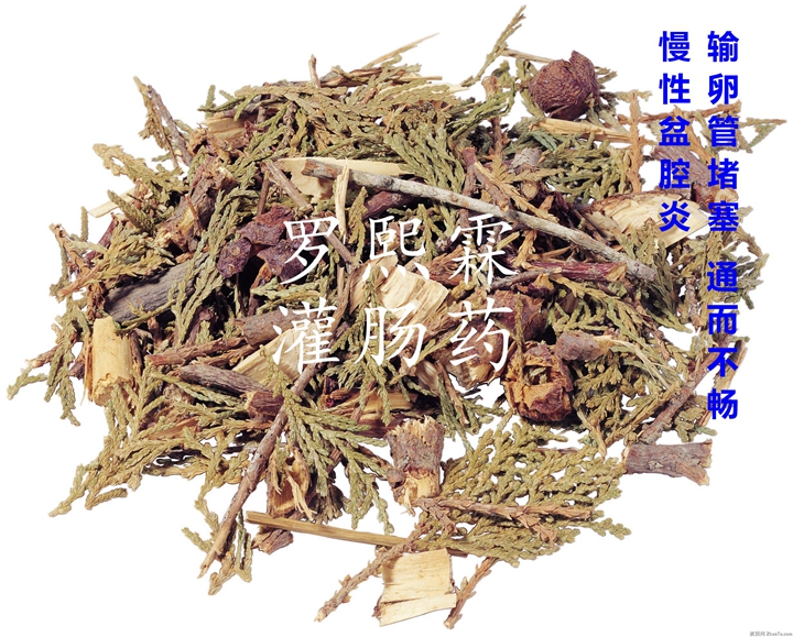 1,疗法独特,无创伤治疗:可采取口服中药,外敷中药,中药灌肠,中药离子