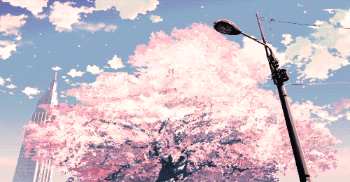 500_260gif 动态图 动图