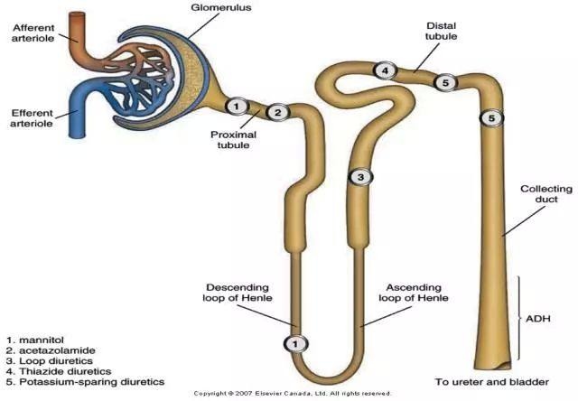 冠心病药物有哪些?