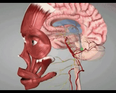 400_320gif 动态图 动图